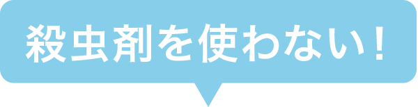 殺虫剤を使わない