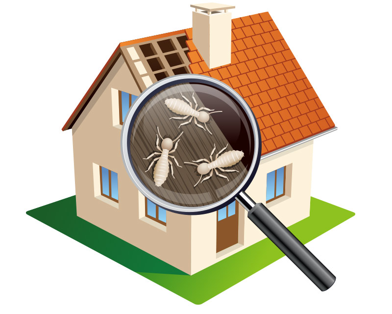 安心・安全、無臭で空気も汚さない